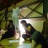 DSC08667.JPG