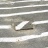 _JUR0448.JPG