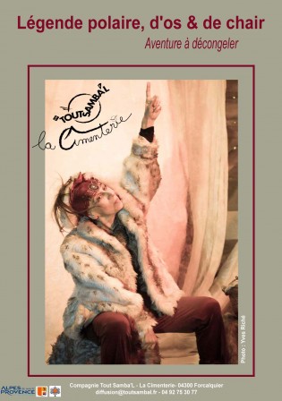 Affiche polaire